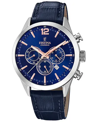 Festina Timeless Chronograph F20542/4