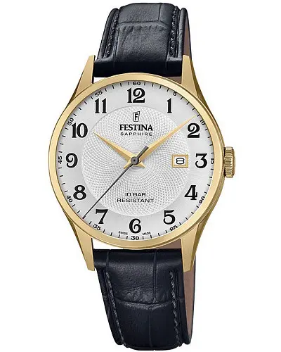 Festina Classic F20010/1