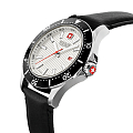 Часы Swiss Military Hanowa Flagship X SMWGB2100605 фото 2