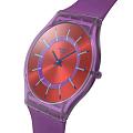 Часы Swatch Essentials SS08V108 фото 2