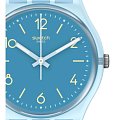 Часы Swatch Gent Biosourced Standart SO28S101 фото 2