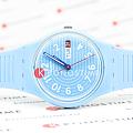 Часы Swatch Gent Biosourced Standart SO28S704 фото 2