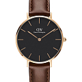 Часы Daniel Wellington Petite DW00100169
