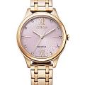 Часы Citizen Eco-Drive EM0503-75X
