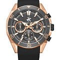 Часы Beverly Hills Polo Club BP3730X.461