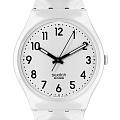 Часы Swatch Gent Biosourced Standart SO28W107-S14