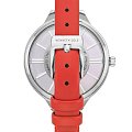 Часы Kenneth Cole Transparency KC50538004 фото 3
