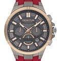 Часы Quantum TTG1003.068